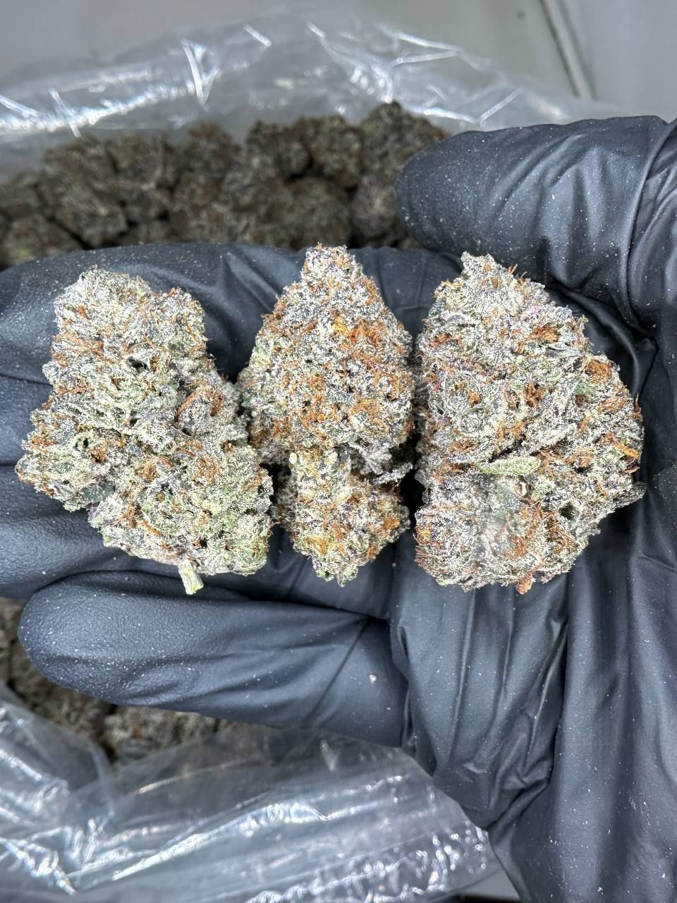 Diamond Oreo 💎