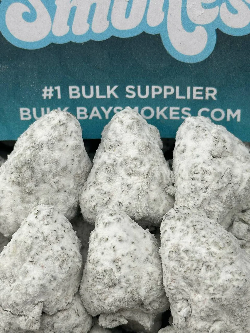 Gelato 45 - Snowballs (Hybrid)