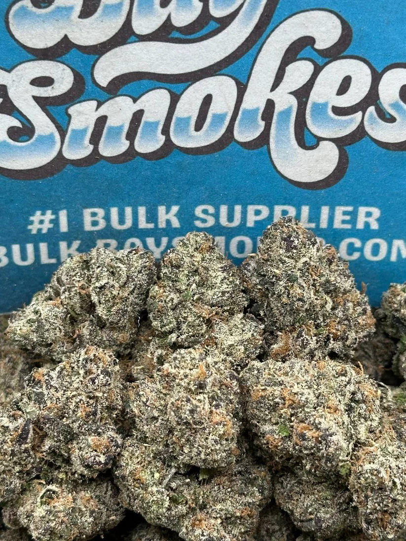 Wonder Bread (Hybrid)