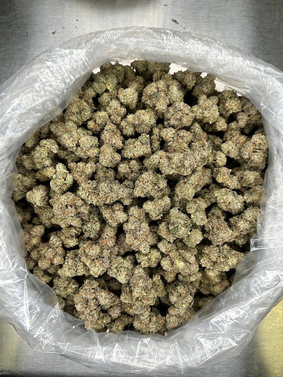 Truffle