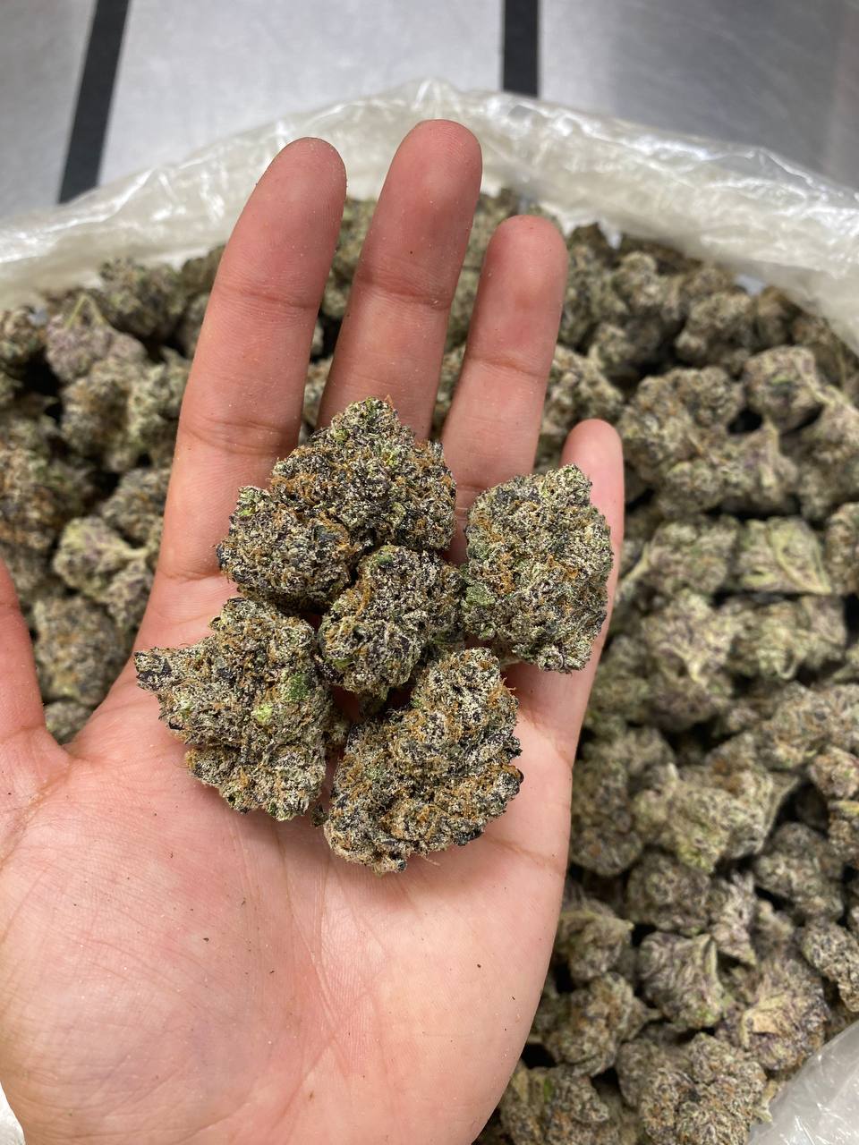 Lemon Berry Runtz 🍋🍓🫐