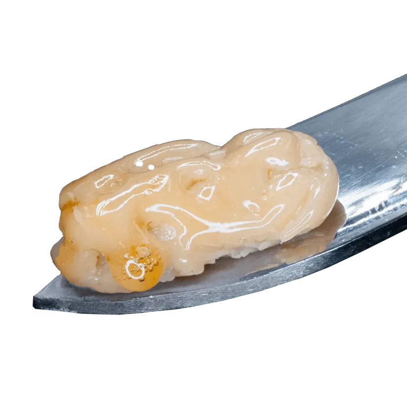Live Hash Rosin (Tier 3)