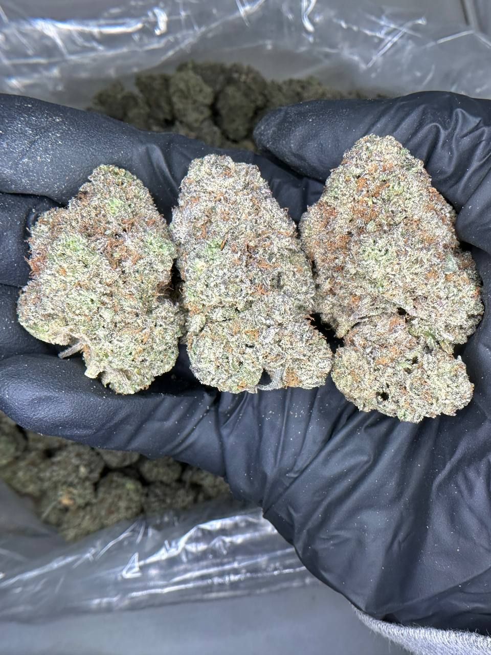 Andy’s Truffle 🧆