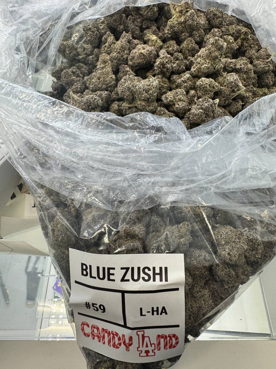 Blue Zushi
