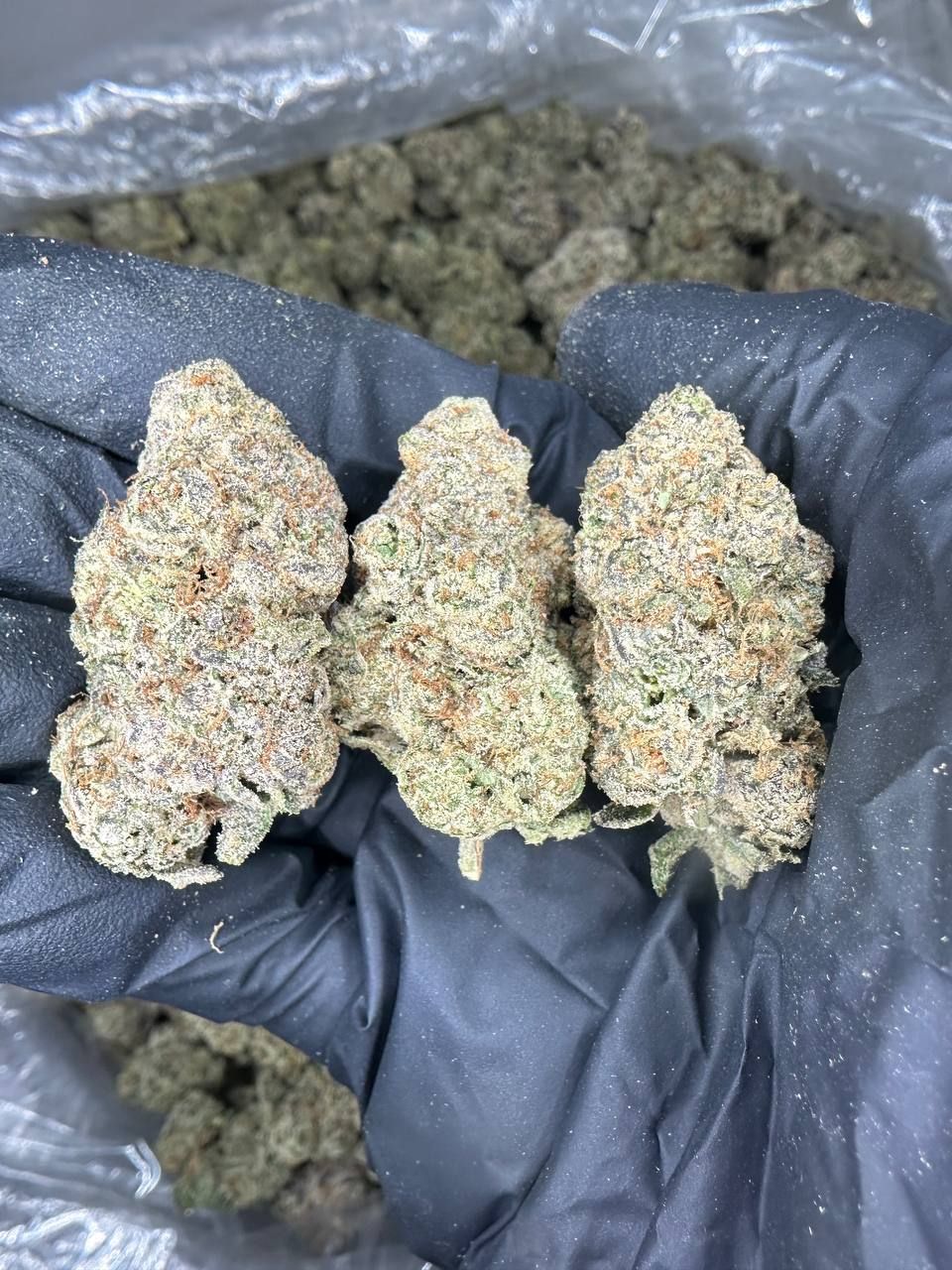 Lemon Starburst 🍋