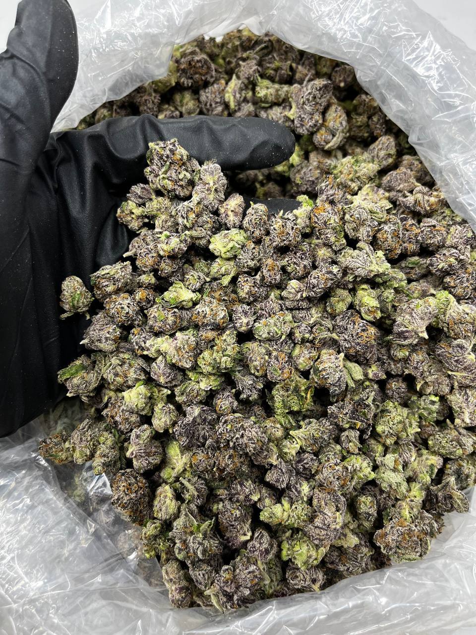 Bubblegum Popperz Sm