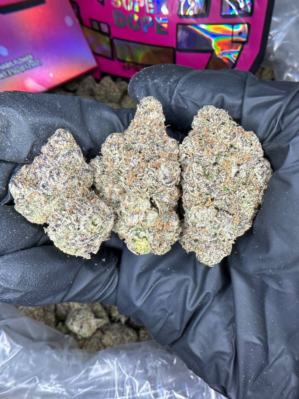 Sugar Lemonade 🍋 (TERP)