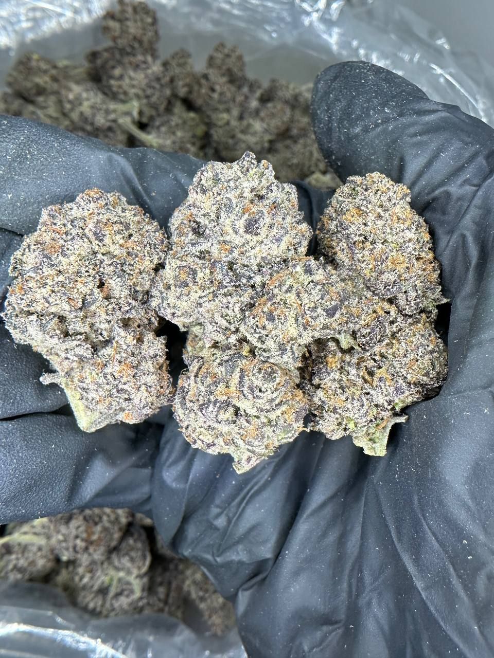 Black Diamond Truffle 🧆